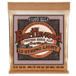 Ernie Ball Earthwood 12 String Light