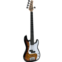 Palmer PB5XL-MRD-VP Electric 5 string Bass Guitar w/bag