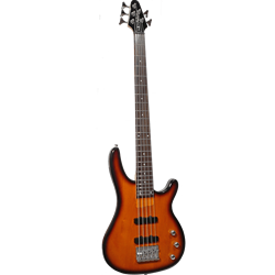 Palmer ECLIPSE5DLXMRD Deluxe 5string Bass Guitar