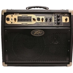 Peavey Ecoustic 110 Guitar Amp