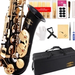 Glory Black/Silver Alto Saxophone Outfit