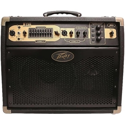 Peavey Ecoustic 110 Guitar Amp