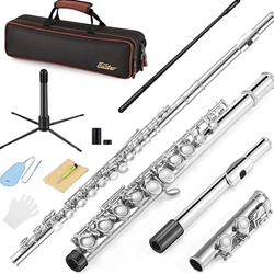 Eastar C Flute Closed Hole 16 Keys Flute