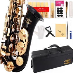 Glory Black/Silver Alto Saxophone Outfit