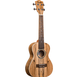 Amahi Penguin Concert Ukulele w/bag - Spalted Maple Top, Back & Sides