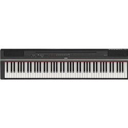 YAMAHA P125 88-Key Weighted Action Digital Piano with Power Supply and Sustain Pedal,